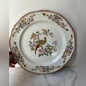 Antique Woods Ware Made in England porcelain Mayfair Bird plate 12”
